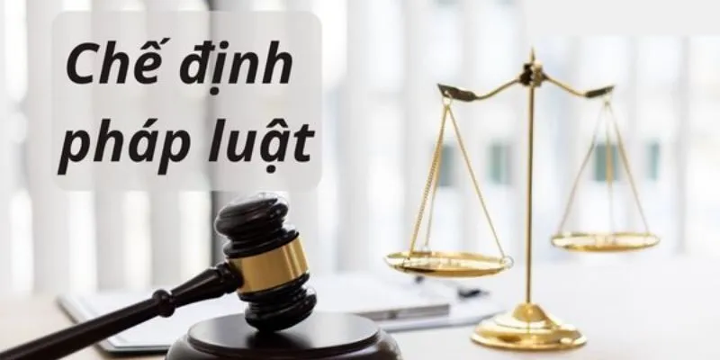 Chế định pháp luật là gì
