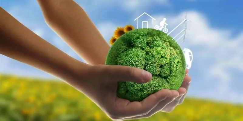 Vai Trò Của Chính Sách Môi Trường Trong Phát Triển Kinh Tế