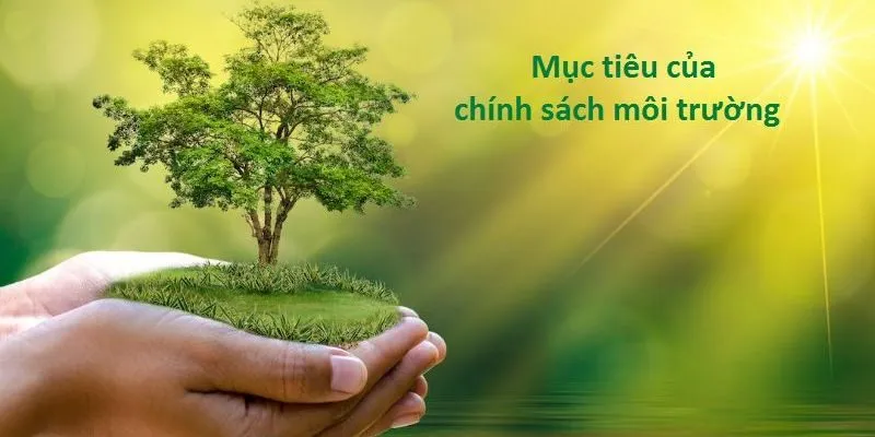 Mục Tiêu Chính của Chính Sách Môi Trường
