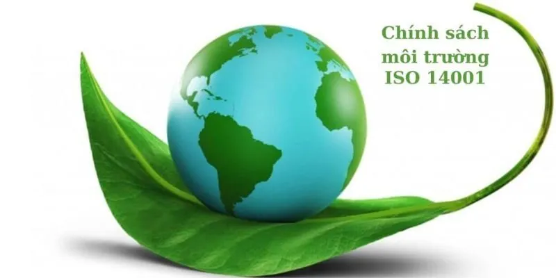 Chính Sách Môi Trường: Cơ Sở Để Phát Triển Bền Vững