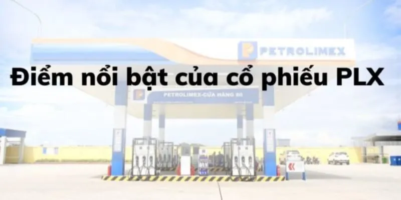 Cơ Hội Từ Chính Sách Phát Triển Năng Lượng Sạch
