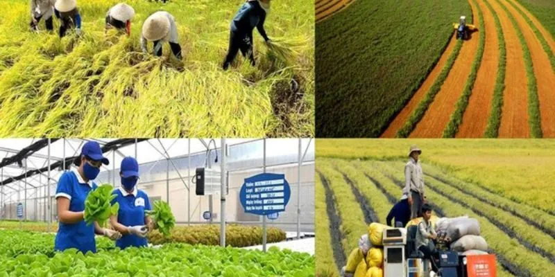 Chính sách đất đai cho nông nghiệp và nông dân