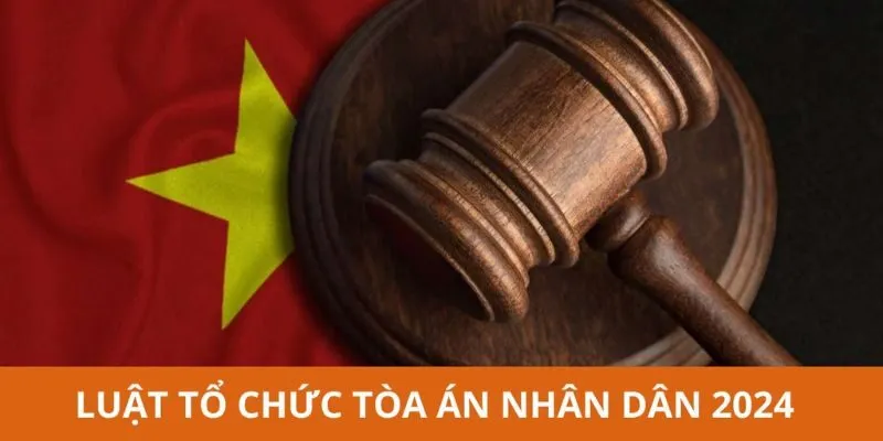 Quyền Hạn và Nhiệm Vụ Của Các Tòa Án