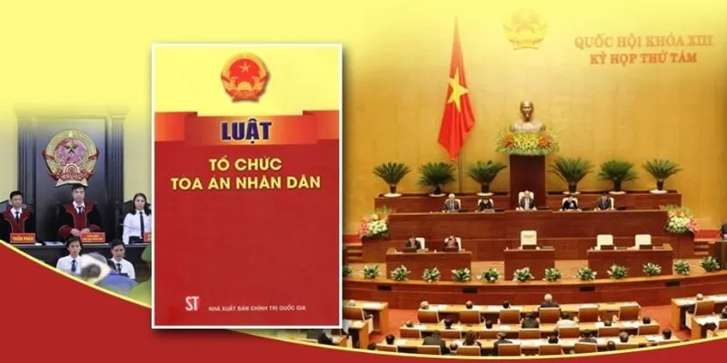 Luật Tổ Chức Tòa Án Nhân Dân 2024: Tổng Quan Các Quy Định Mới