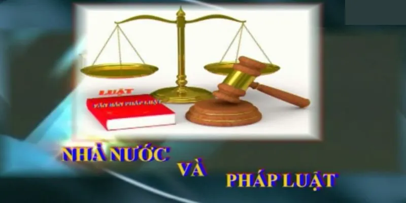 Mối quan hệ giữa nhà nước và pháp luật qua các góc nhìn