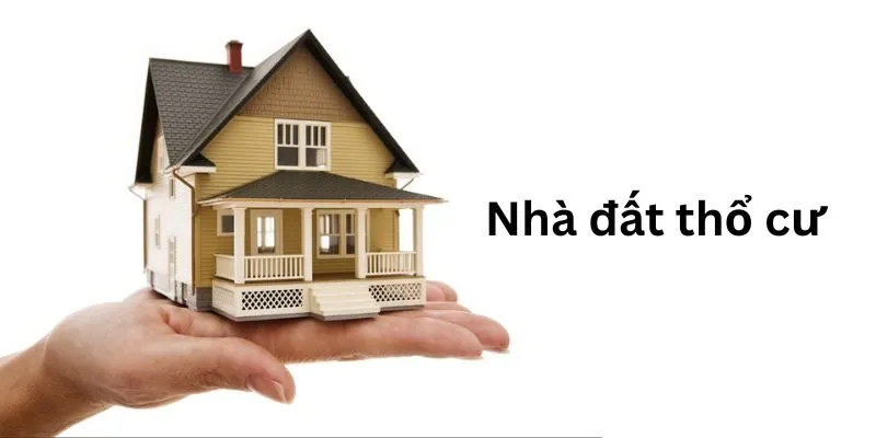 Thông tin của chúng tôi về nhà đất thổ cư