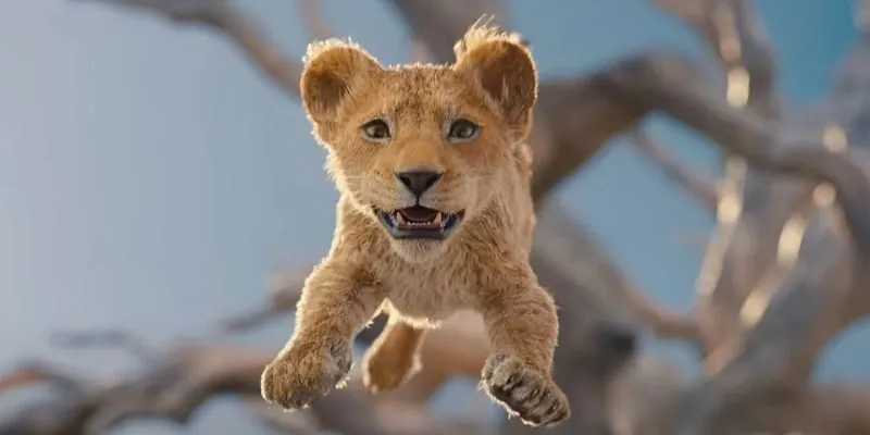 Các thông điệp trong The Lion King
