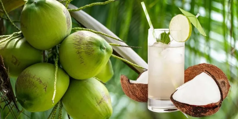 Thành Phần Dinh Dưỡng Của Nước Dừa
